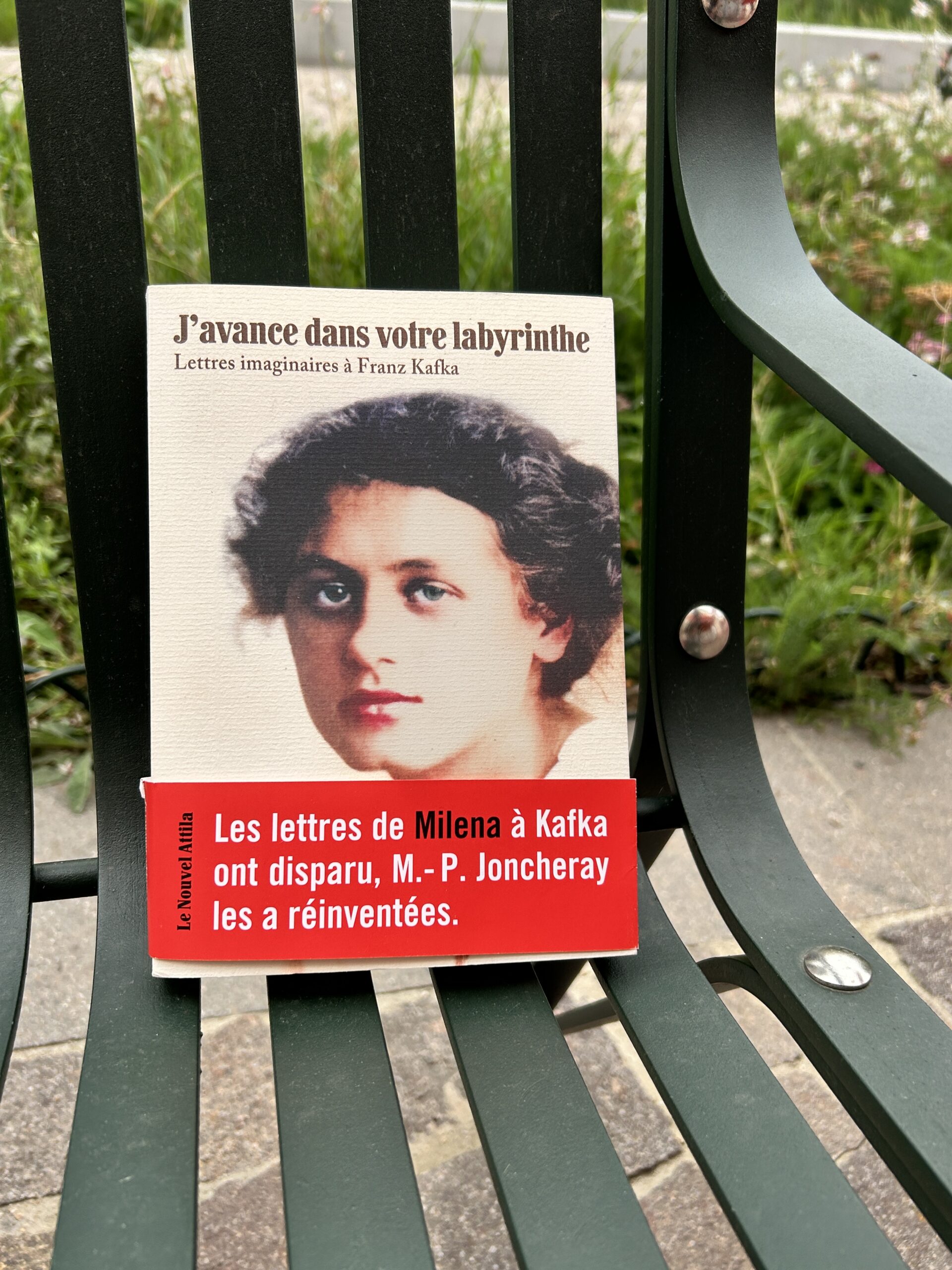 J&rsquo;avance dans votre labyrinthe – Joncheray – Le Nouvel Attila