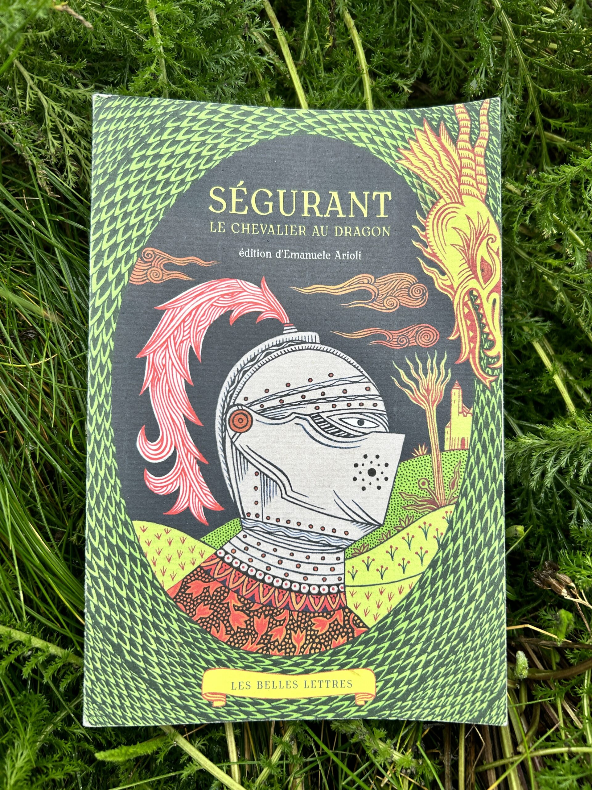 Ségurant : le chevalier au dragon – Emanuel Arioli – les Belles Lettres / Dargaud / Seuil Jeunesse