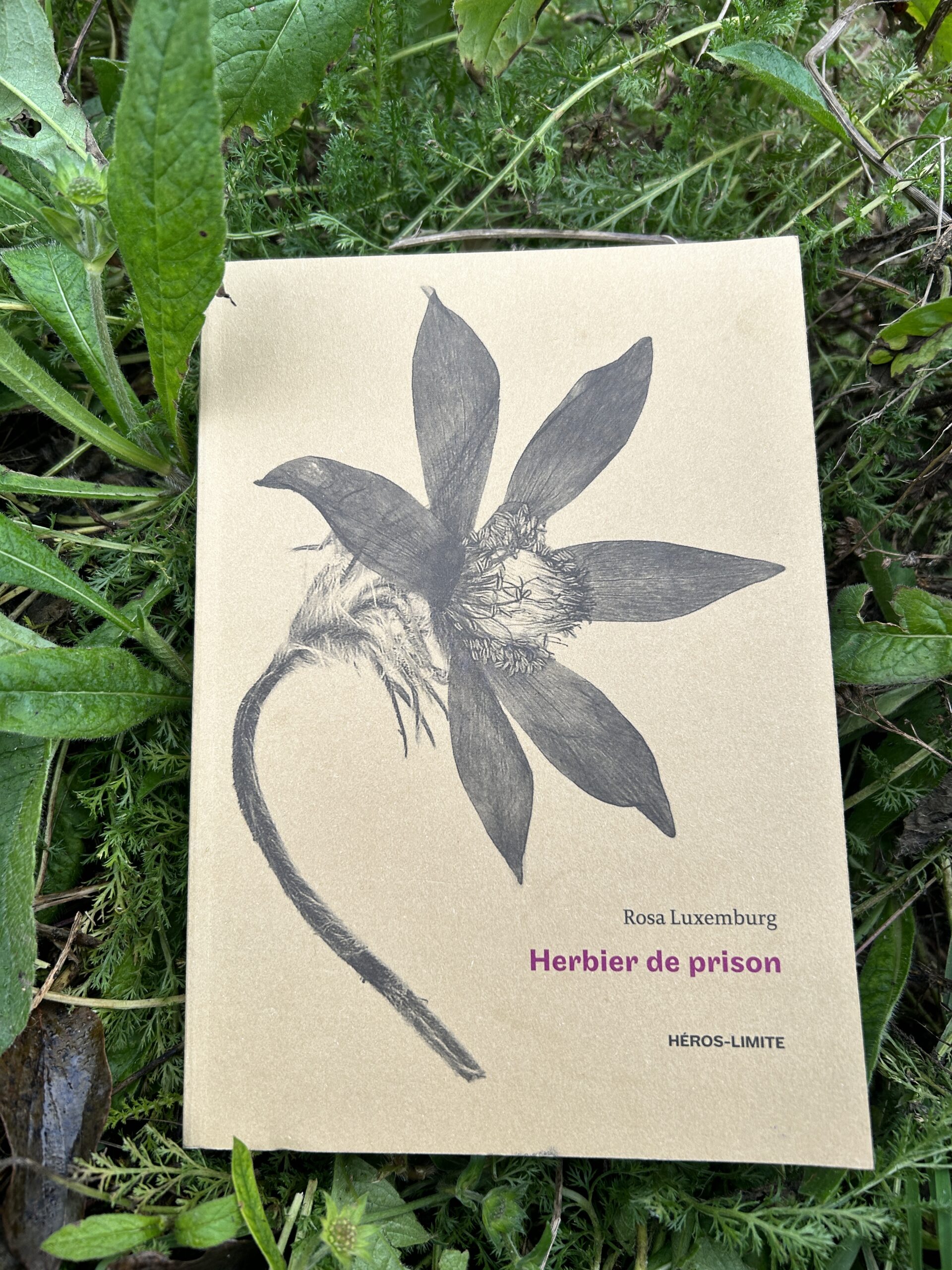 Herbier de prison de Rosa Luxembourg – Muriel Pic  – Héros-Limite