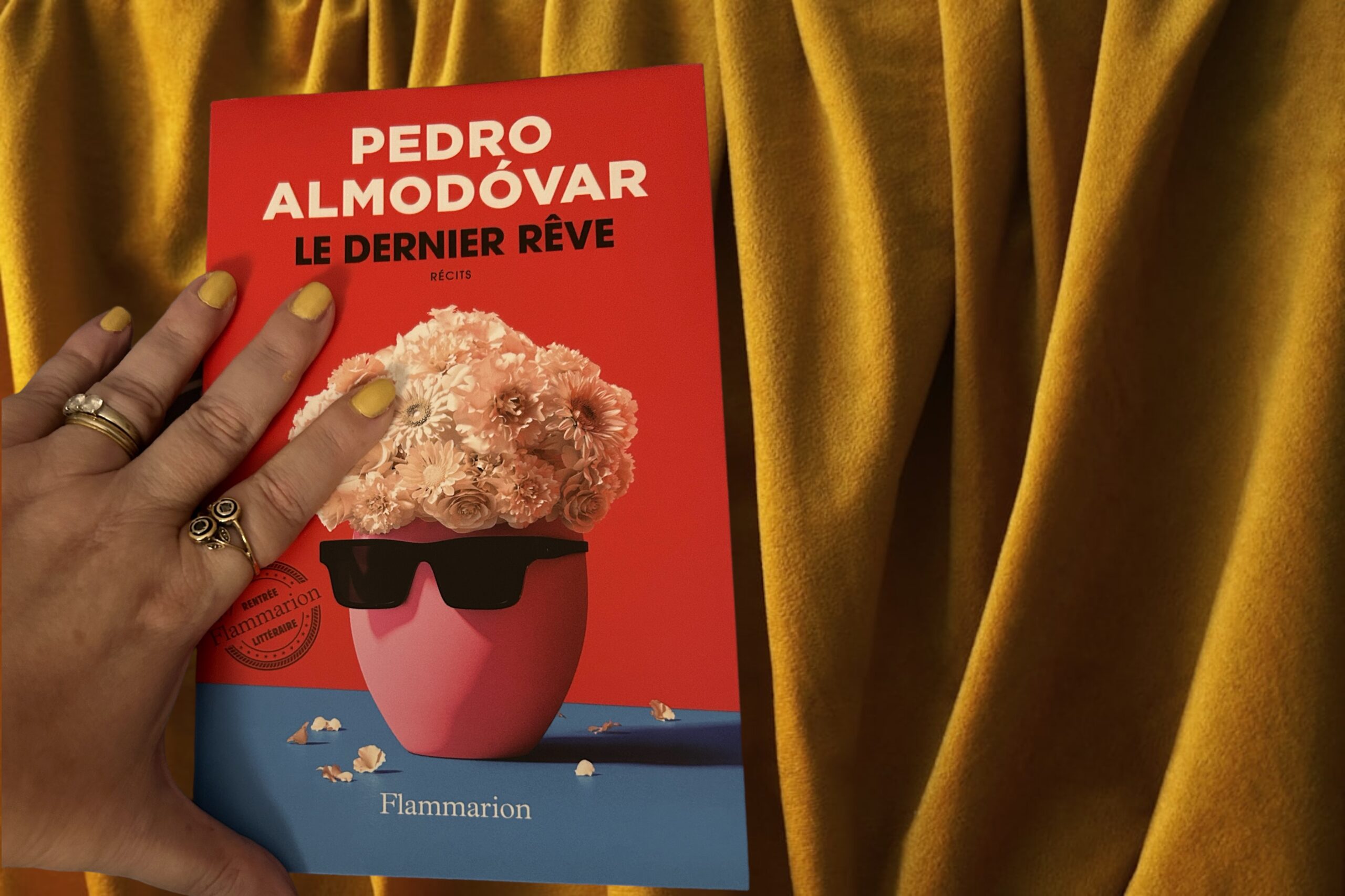 Pedro Almodóvar / Le Dernier Rêve / Flammarion