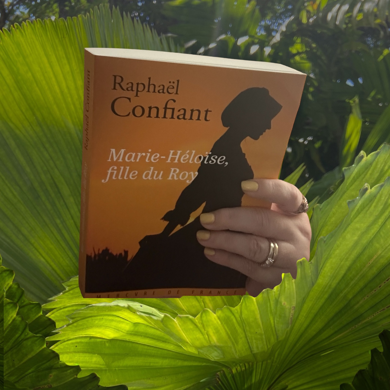 Marie-Héloïse, fille du Roy / Raphaël Confiant / Mercure de France 