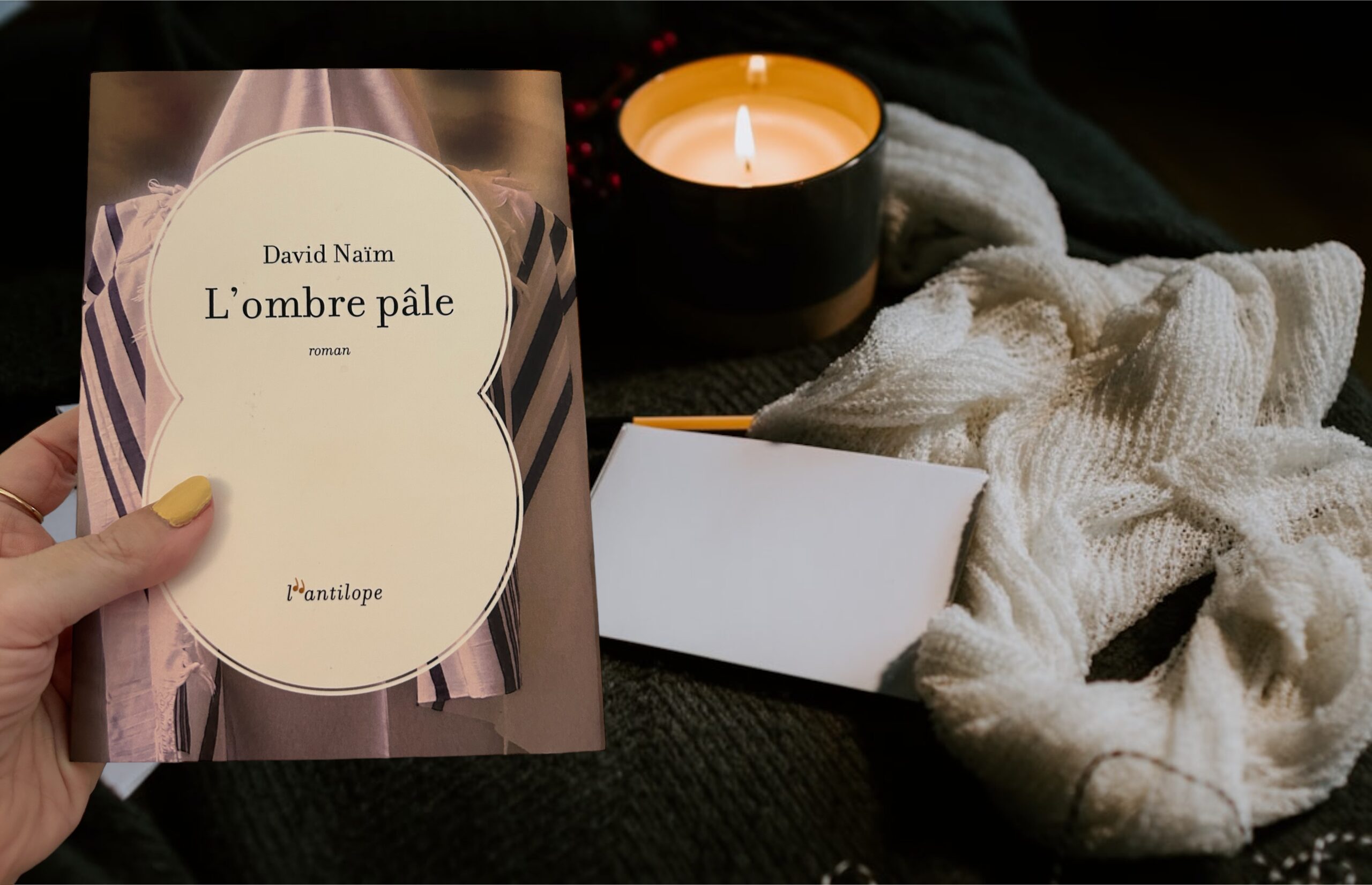 L&rsquo;ombre pâle / David Naim / L&rsquo;Antilope