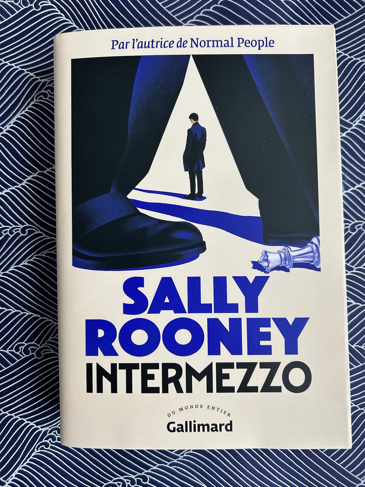 Intermezzo / Sally Rooney / Gallimard 