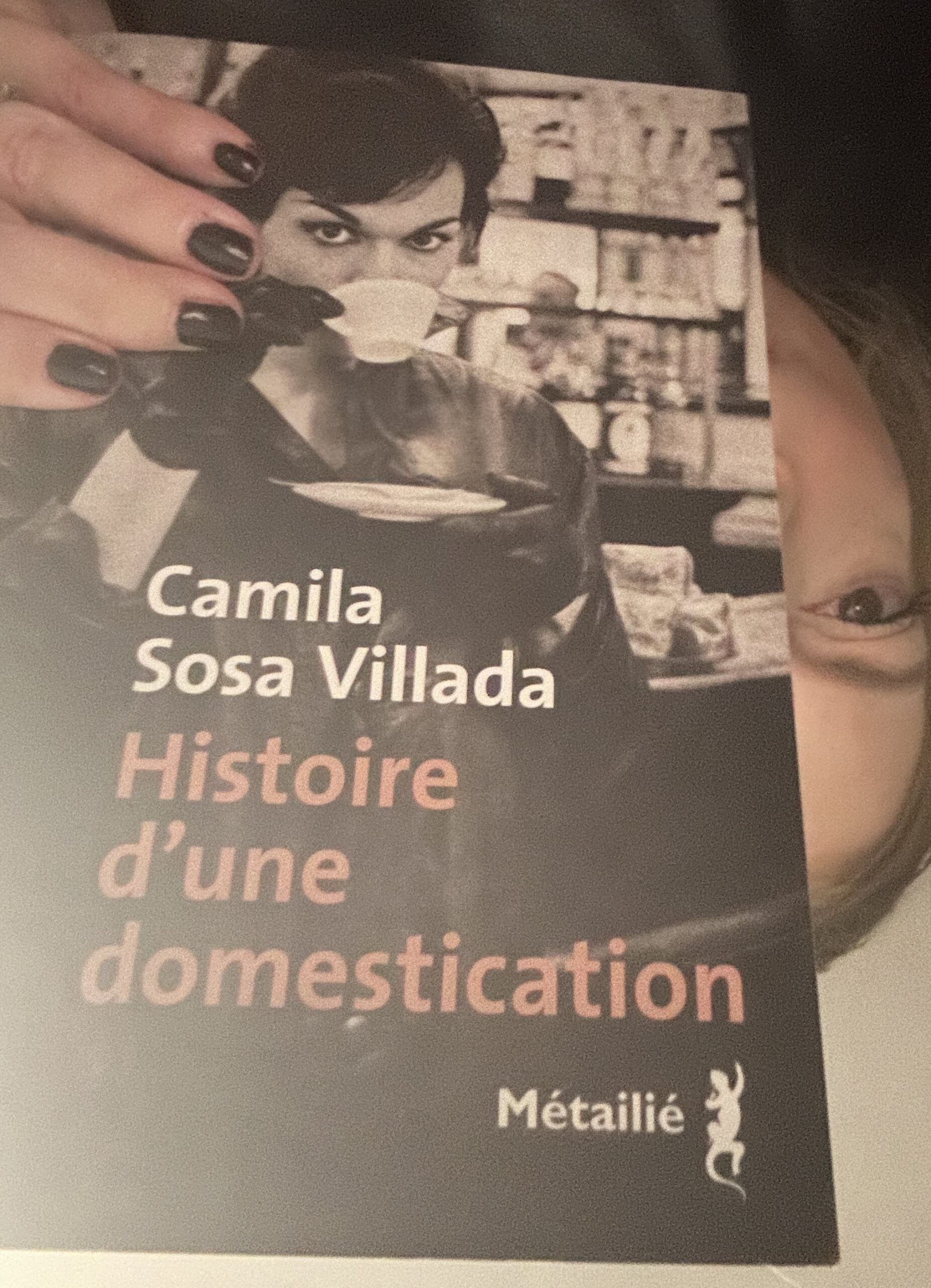 Histoire d&rsquo;une domestication / Camila Sosa Villada / Métaillé