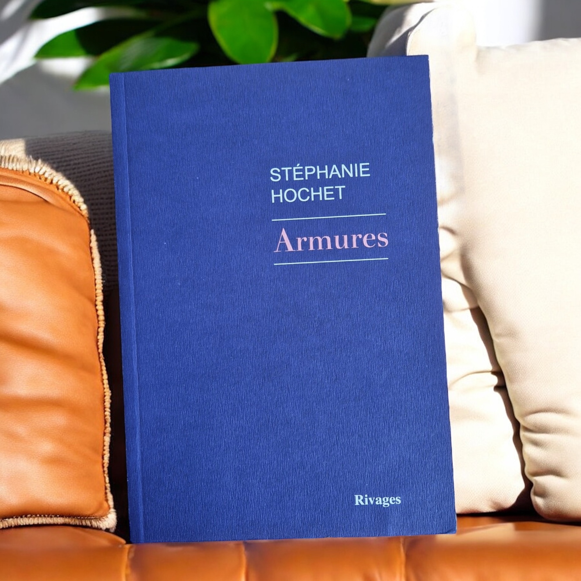 Armures, Stéphanie Hochet, Éditions Rivages : Un Toit de Fer dans un Monde de Vent