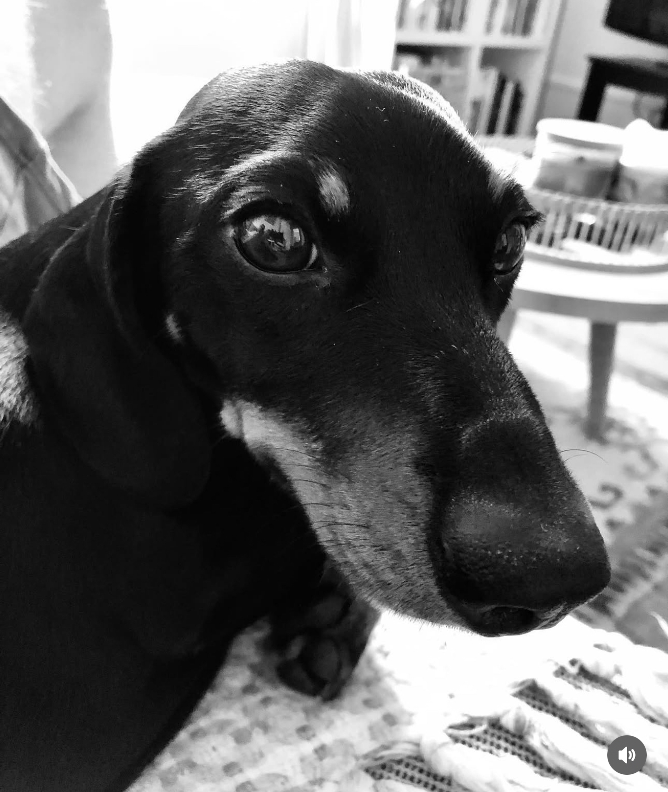 80 LGBT+ qui ont changé le monde » de Florent Manelli (Éditions Lapin)